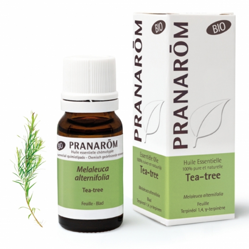 Tea-tree BIO - 10 ml